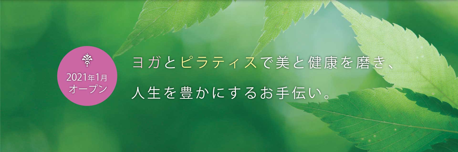 ヨガとピラティスで美と健康を磨き、人生を豊かにするお手伝い。
